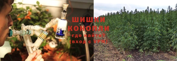ГАЛЛЮЦИНОГЕННЫЕ ГРИБЫ Алексин